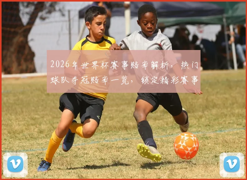 2026年世界杯赛事赔率解析，热门球队夺冠赔率一览，锁定精彩赛事