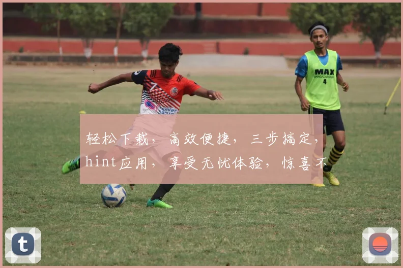 轻松下载，高效便捷，三步搞定，hint应用，享受无忧体验，惊喜不断