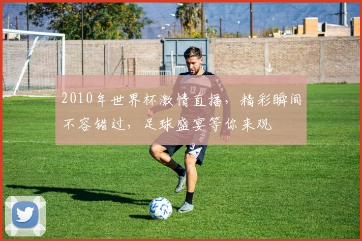 2010年世界杯激情直播，精彩瞬间不容错过，足球盛宴等你来观