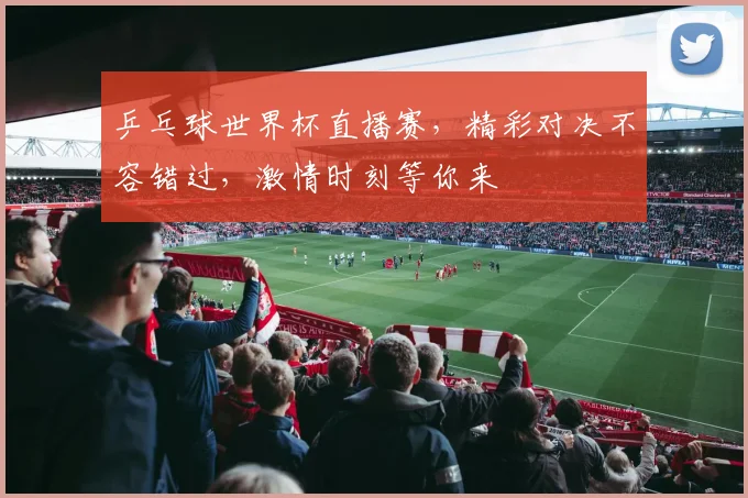 乒乓球世界杯直播赛，精彩对决不容错过，激情时刻等你来